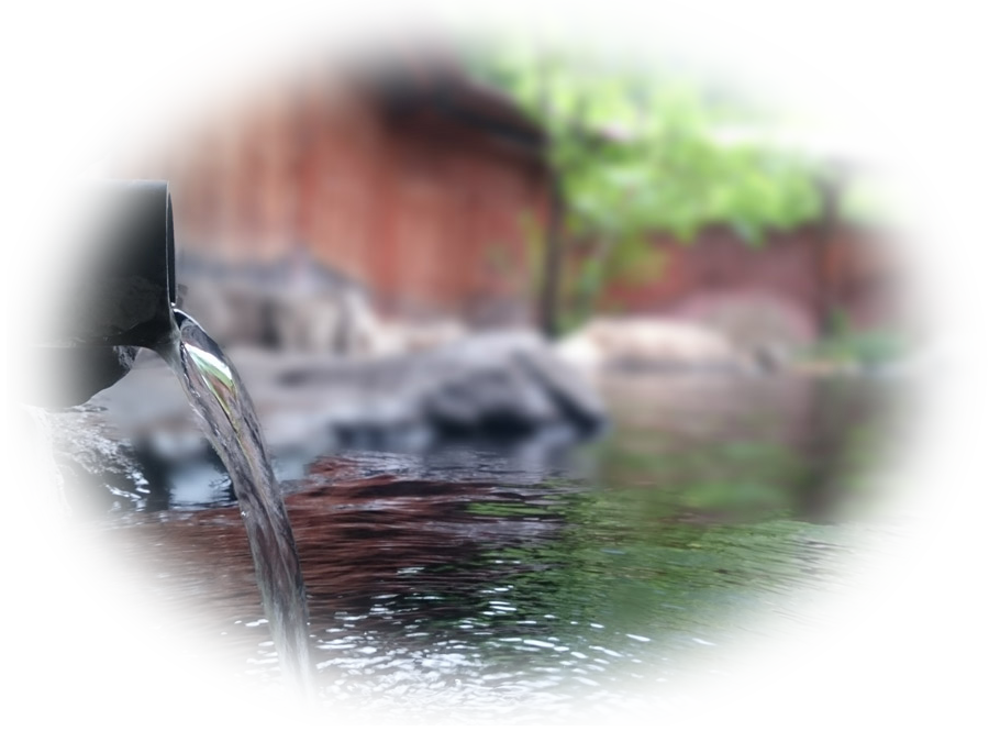 旅館の温泉の写真